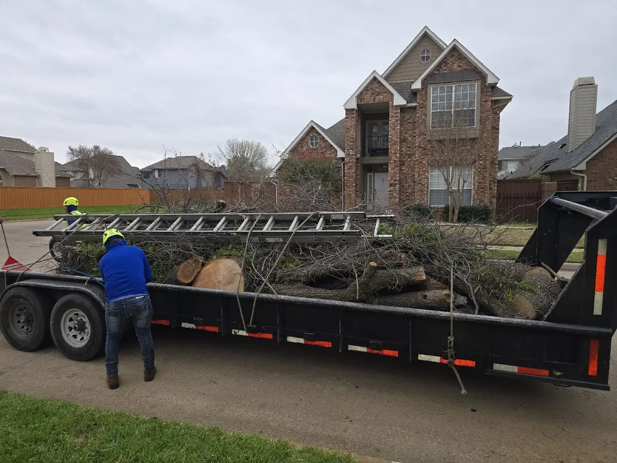 Expert Lot Clearing with proper safety equipment in Canjilon